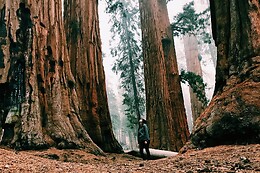 Incredible Adventures