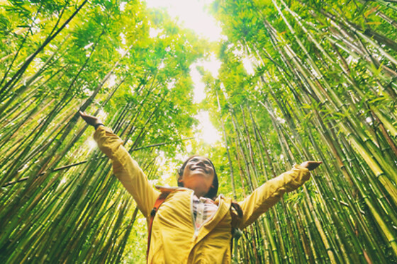 Green Getaway for 2