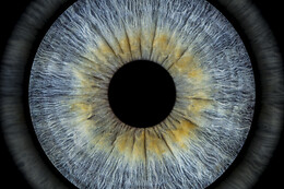 Eye Origin Soho