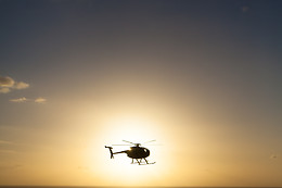 Heli NY