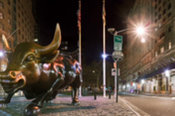 USA Guided Tours