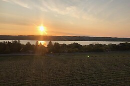 FLX Helicopters