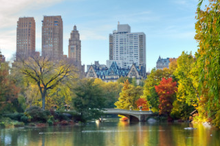 Alice in Wonderland for 2 at "Your New York Story"