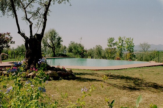 Online Booking EPS - photo 2