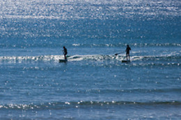 Surfs Up NY