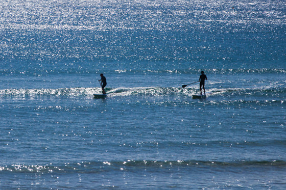 Surfs Up NY - photo 6