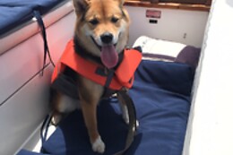 Brooklyn Sail LLC