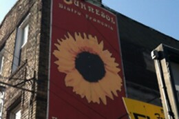 Tournesol