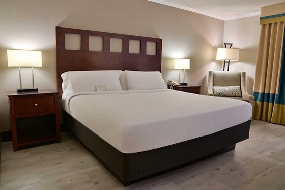 Online Booking EPS - photo 3