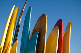 Surfs Up NY