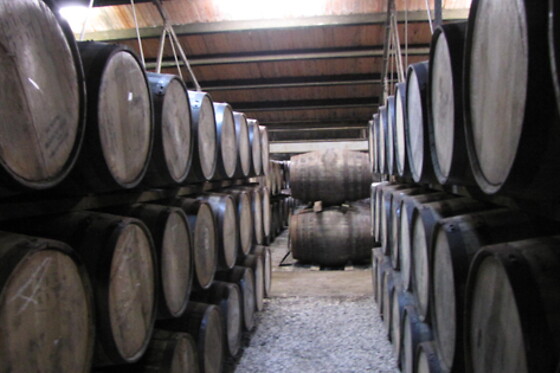 Explore and Compare Exceptional Bourbons for 1 person