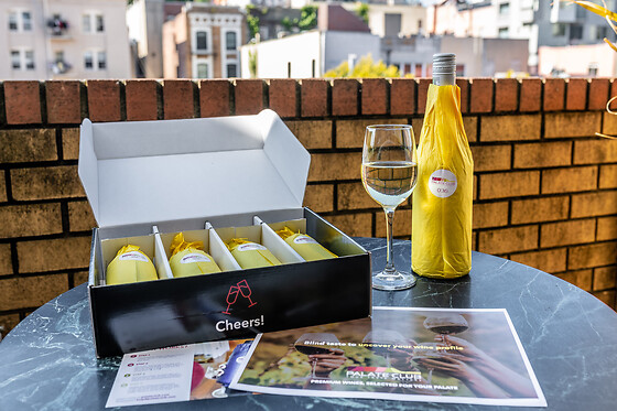 Blind Tasting Red Kit with Palate Club