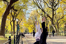 Fit Tours NYC