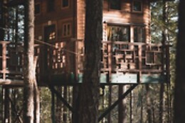 Vertical Horizons Treehouse