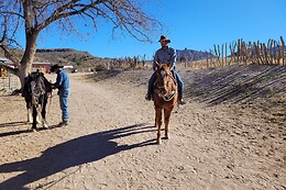 Desert Wonder Tours