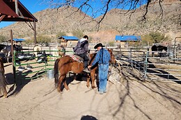 Desert Wonder Tours