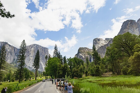 Muir Woods & Sausalito Half Day AM/PM and 4h Bike rental