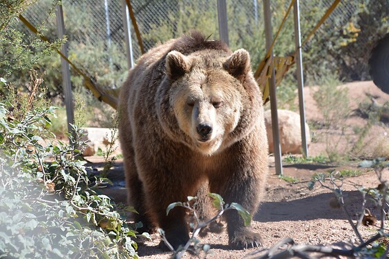 Desert Wonder Tours - photo 28