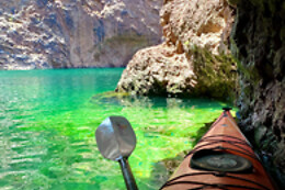 Desert Wonder Tours