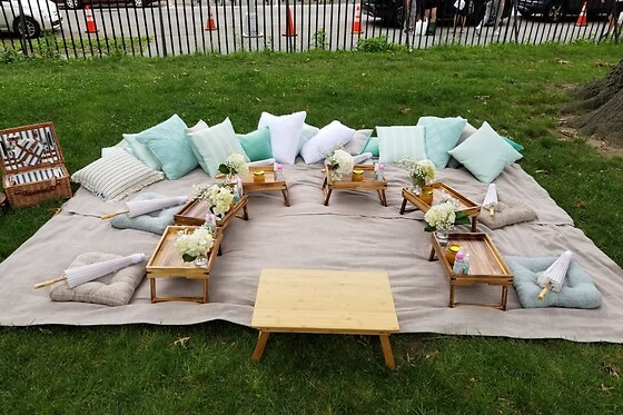 Picnic for 20 at PICNYC