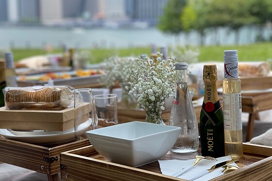 Picnic for 20 at PICNYC