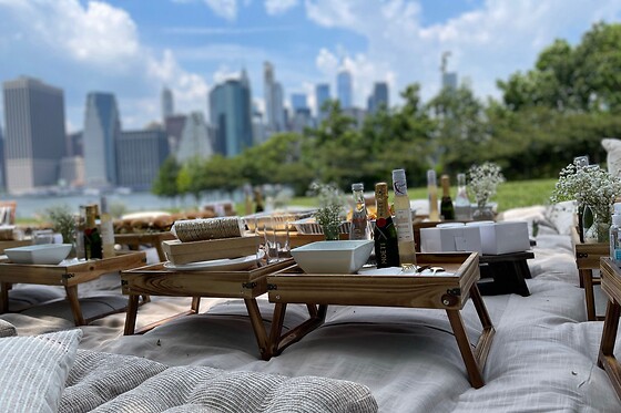 Picnic for 20 at PICNYC