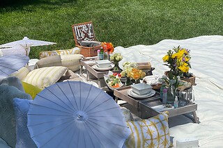 Picnic for 20 at PICNYC