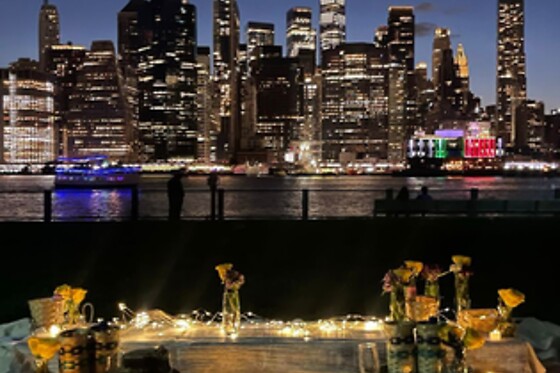 Picnic for 20 at PICNYC