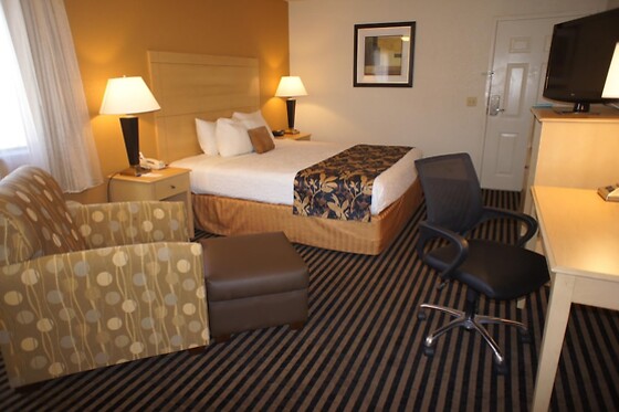 Online Booking EPS - photo 8