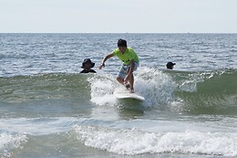 Surfs Up NY