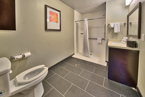 Online Booking EPS - photo 5