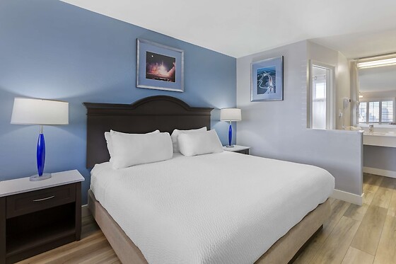Online Booking EPS - photo 5