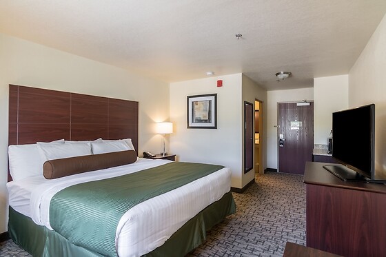 Online Booking EPS - photo 6