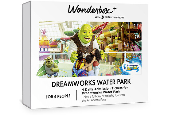 DreamWorks Water Park for 4