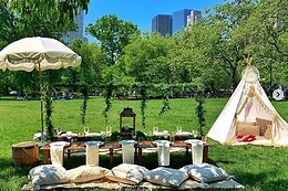 Bohemian Picnics NYC