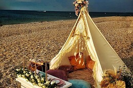 Bohemian Picnics NYC