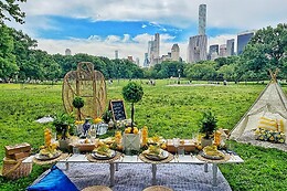 Bohemian Picnics NYC