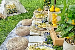 Bohemian Picnics NYC
