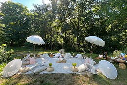 Bohemian Picnics NYC