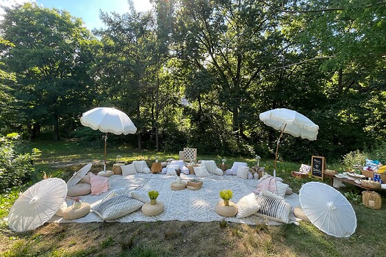 Bohemian Picnics NYC - photo 19