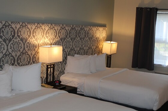 Online Booking EPS - photo 1