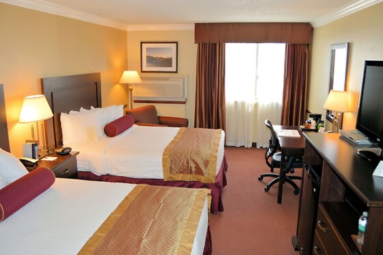 Online Booking EPS - photo 4