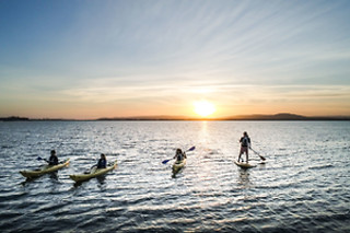 Kayak for 2 with Sea Lions at Fun Surf LA, Marina del Rey