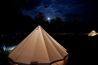 A night for two at Adirondack Safari