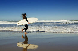Surfs Up NY