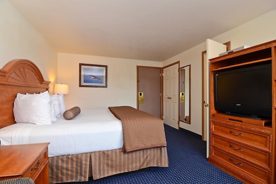 Online Booking EPS - photo 11