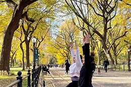 Fit Tours NYC