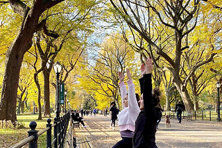 Central Park Bike Ride and Yoga for 5 people