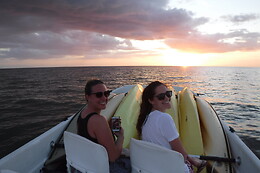 AQUATERRA EXCURSIONS