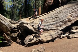 Authentic Adventures Central California